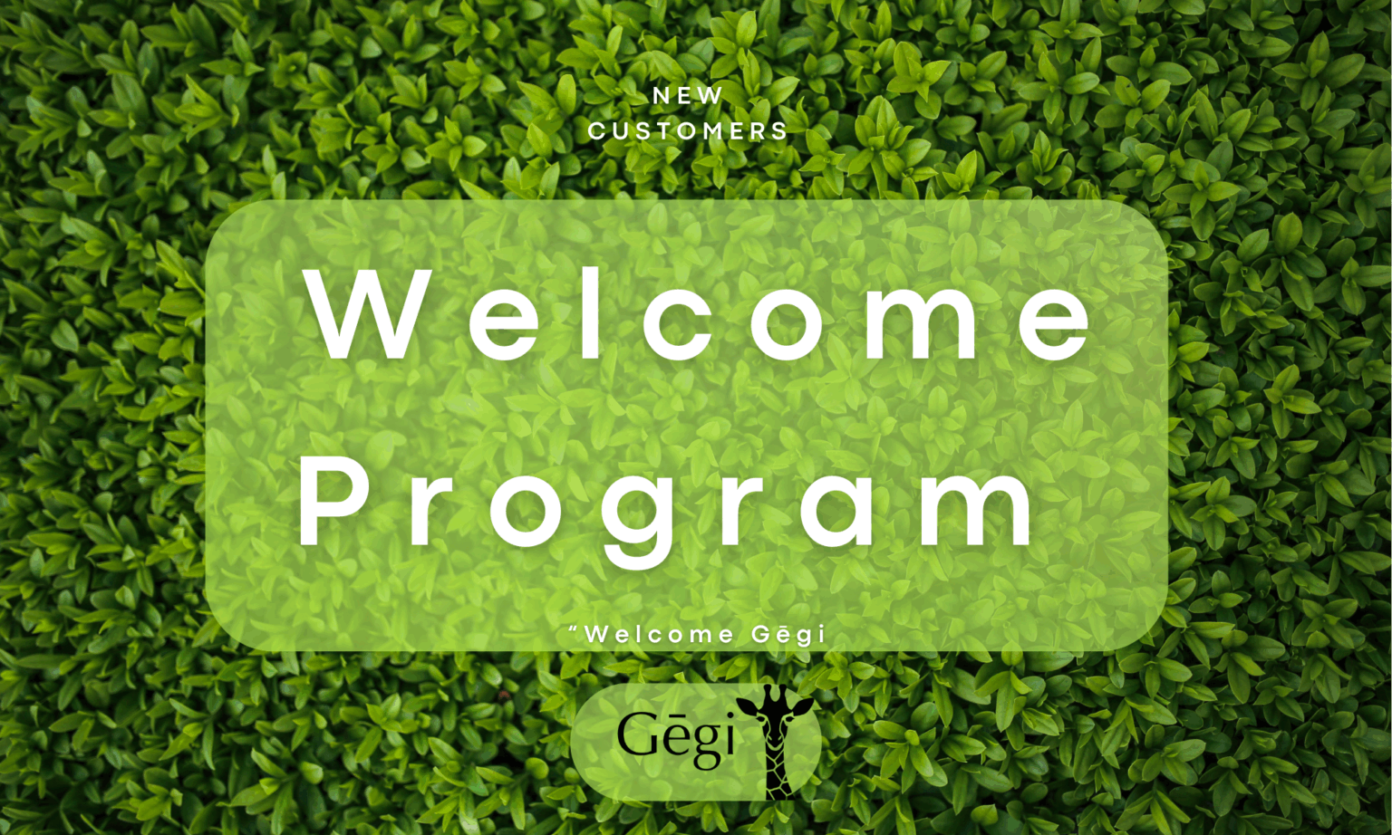 Gēgi Welcome Program｜“3回で変わる。ずっと綺麗が続く。